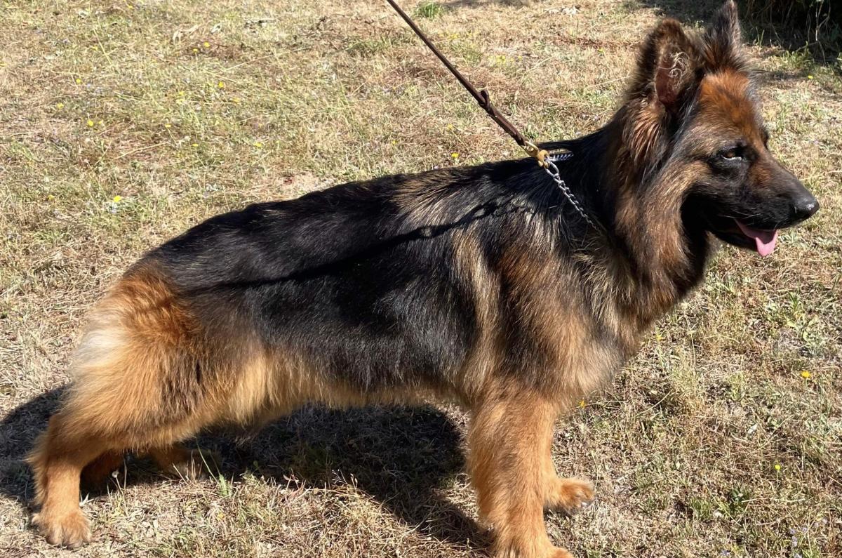 
                                                    Kein SV-Bild -
                                                    Connie
                                                
