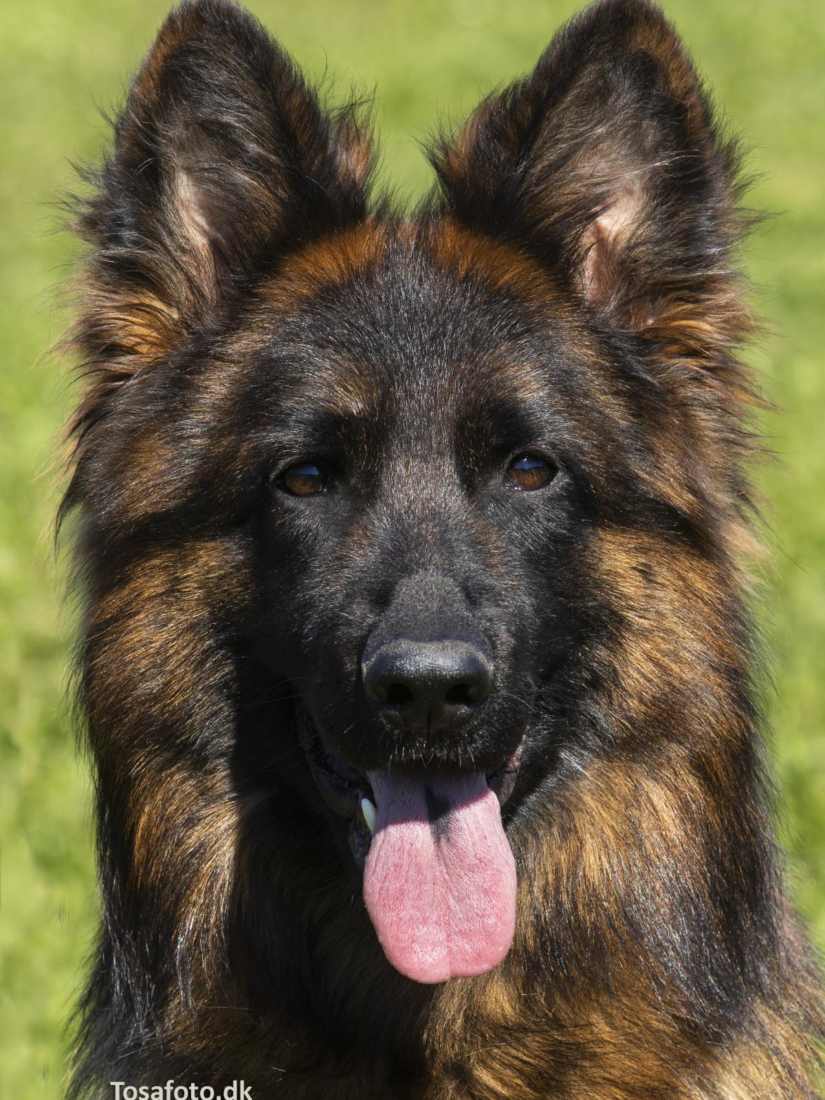 
                                                    Kein SV-Bild -
                                                    Upload vom 25.05.2019
                                                