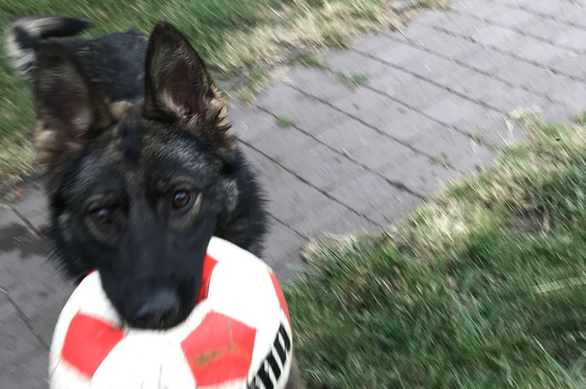 
                                                    Kein SV-Bild -
                                                    Upload vom 13.07.2019
                                                