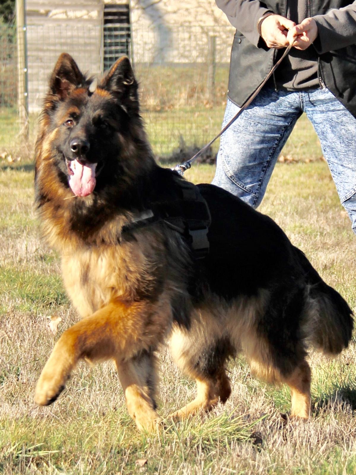 
                                                    Kein SV-Bild -
                                                    Connie training
                                                