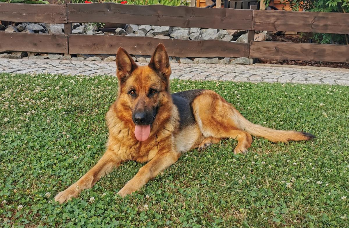 
                                                    Kein SV-Bild -
                                                    Upload vom 22.11.2025
                                                