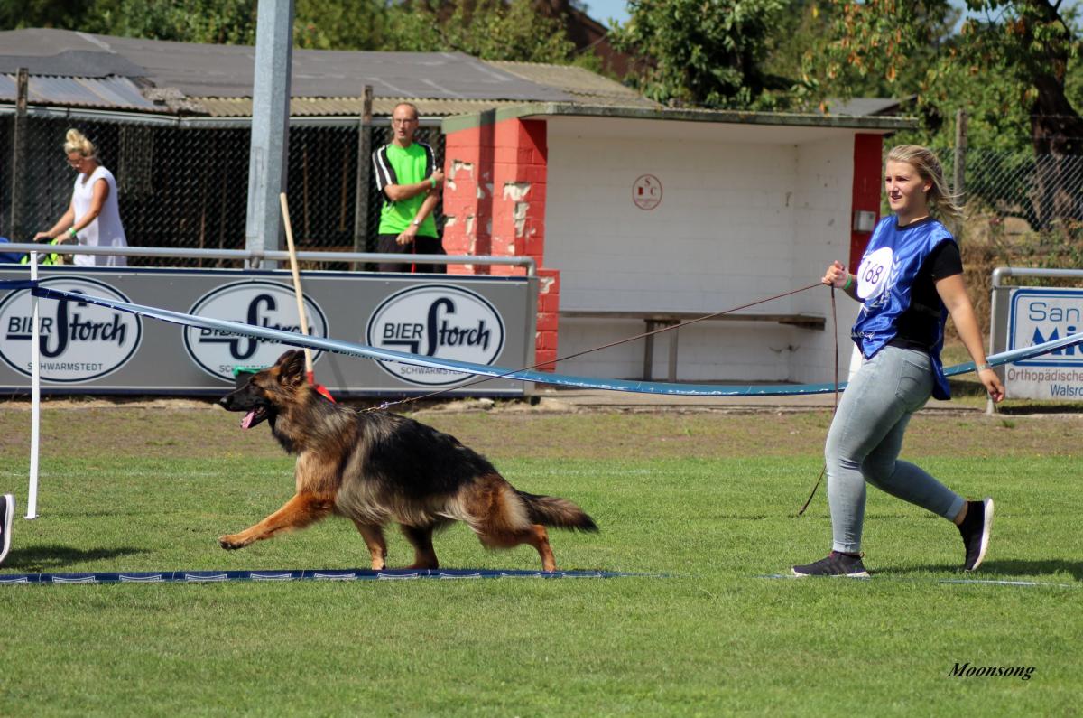 
                                                    Kein SV-Bild -
                                                    Upload vom 18.09.2019
                                                
