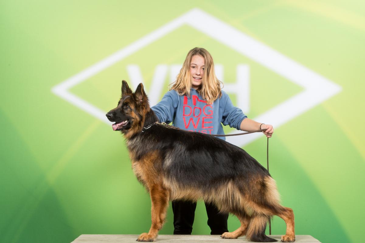 
                                                    Kein SV-Bild -
                                                    Grace vom Mühlenblick
                                                