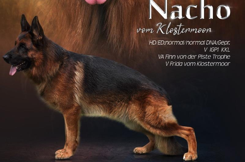 
                                                    Kein SV-Bild -
                                                    Upload vom 16.10.2020
                                                