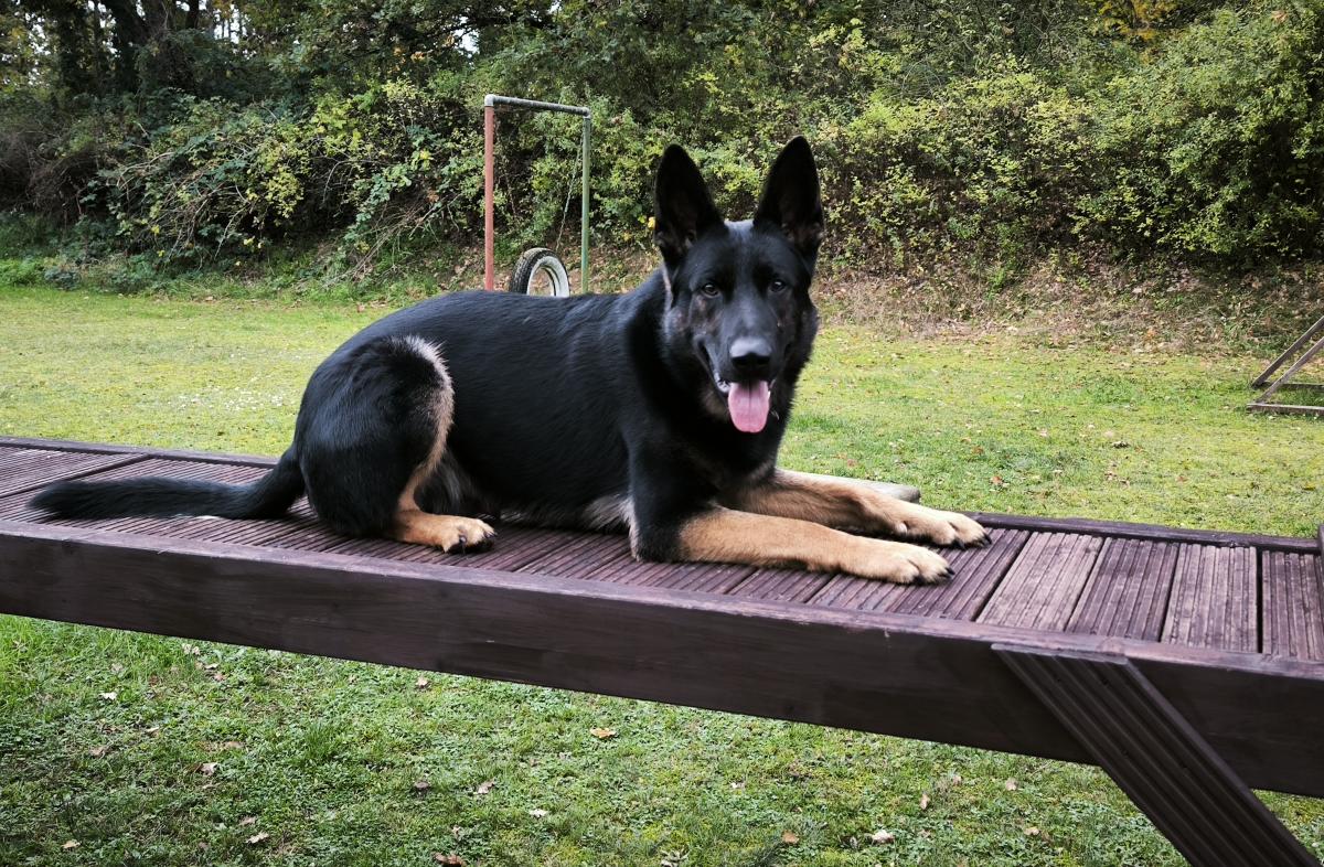 
                                                    Kein SV-Bild -
                                                    Gauni
                                                
