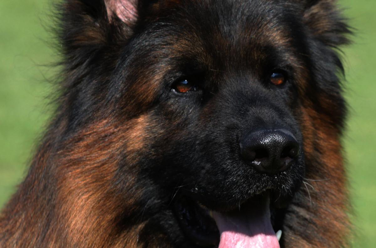 
                                                    Kein SV-Bild -
                                                    Upload vom 06.07.2019
                                                