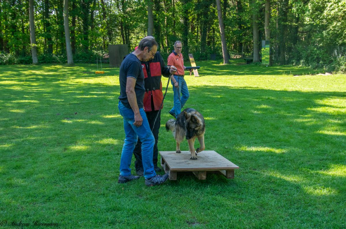 
                                                    Kein SV-Bild -
                                                    Wesenstest 2017
                                                