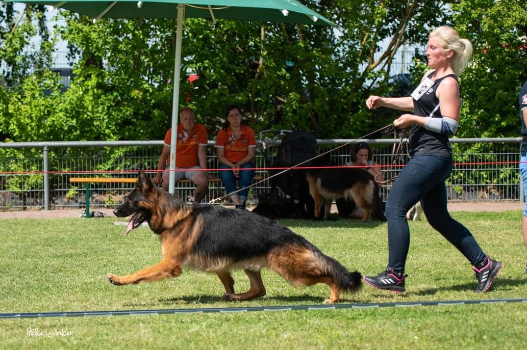 
                                                    Kein SV-Bild -
                                                    Upload vom 07.07.2023
                                                