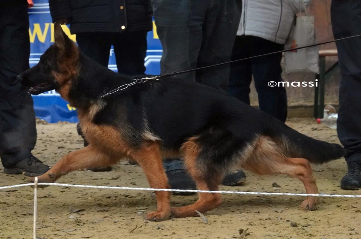 
                                                    Kein SV-Bild -
                                                    Upload vom 28.05.2019
                                                