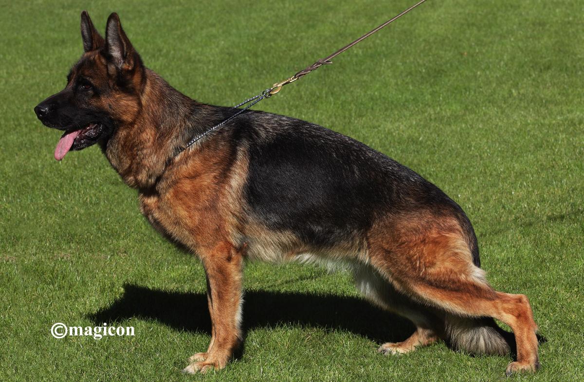 
                                                    Kein SV-Bild -
                                                    Upload vom 18.03.2019
                                                