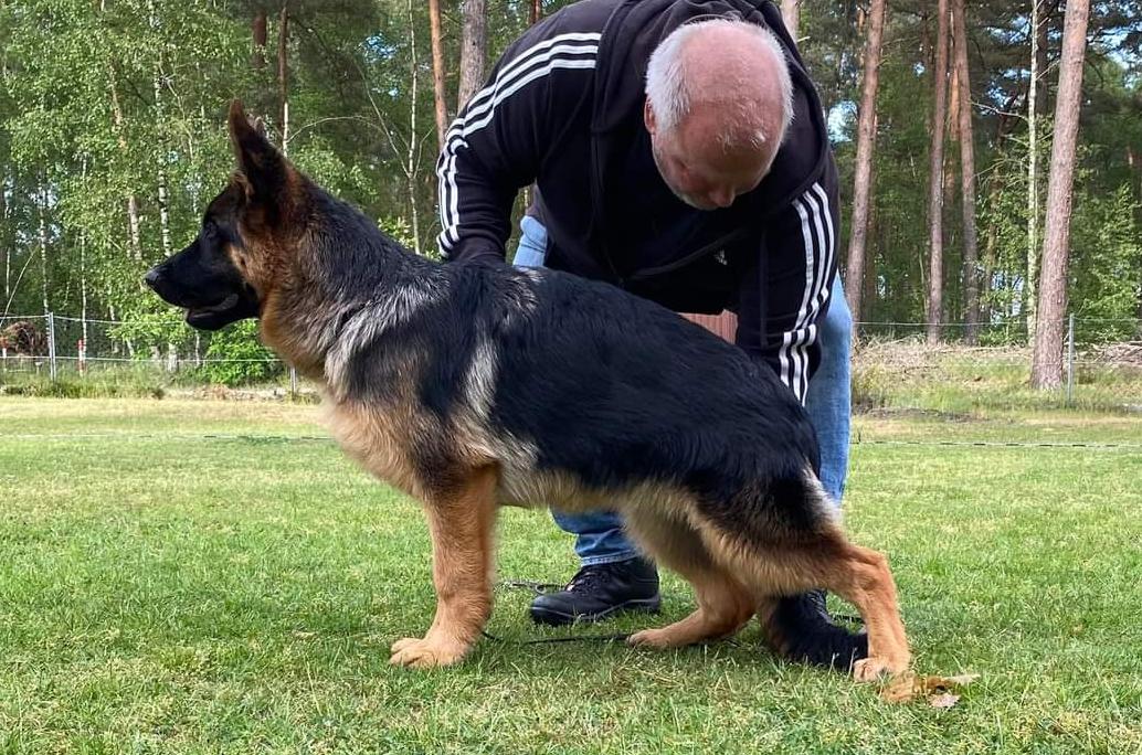 
                                                    Kein SV-Bild -
                                                    Upload vom 03.06.2022
                                                