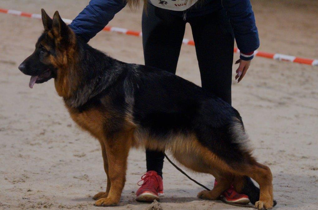 
                                                    Kein SV-Bild -
                                                    Upload vom 16.03.2017
                                                