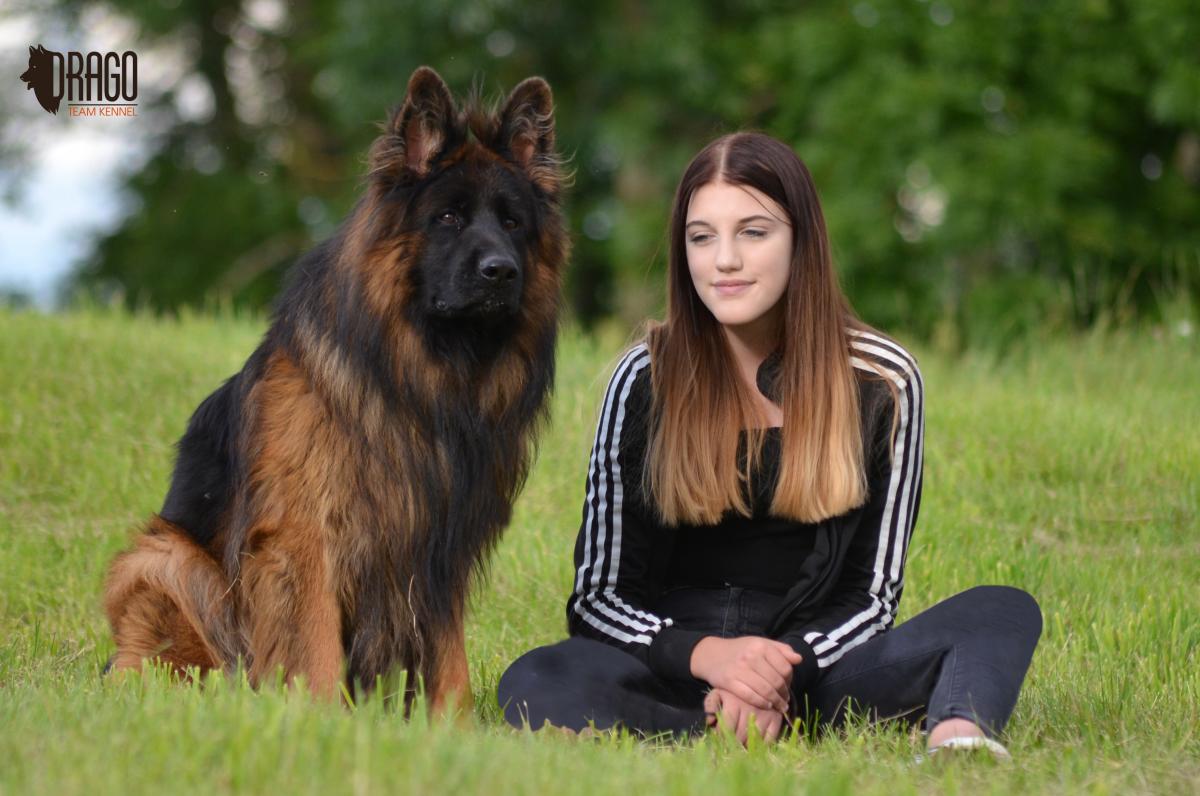 
                                                    Kein SV-Bild -
                                                    Upload vom 06.06.2021
                                                