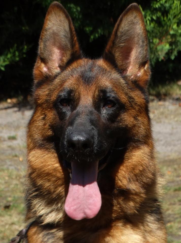 
                                                    Kein SV-Bild -
                                                    Upload vom 24.07.2019
                                                