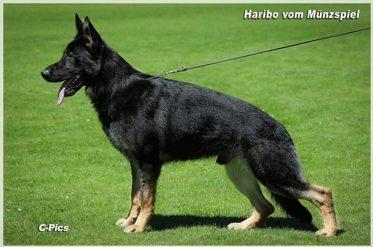 
                                                    Kein SV-Bild -
                                                    Upload vom 12.07.2018
                                                