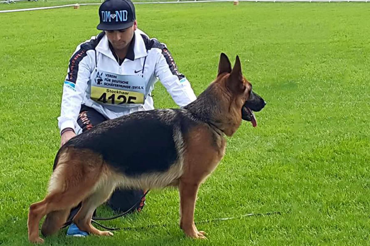 
                                                    Kein SV-Bild -
                                                    Upload vom 12.11.2018
                                                