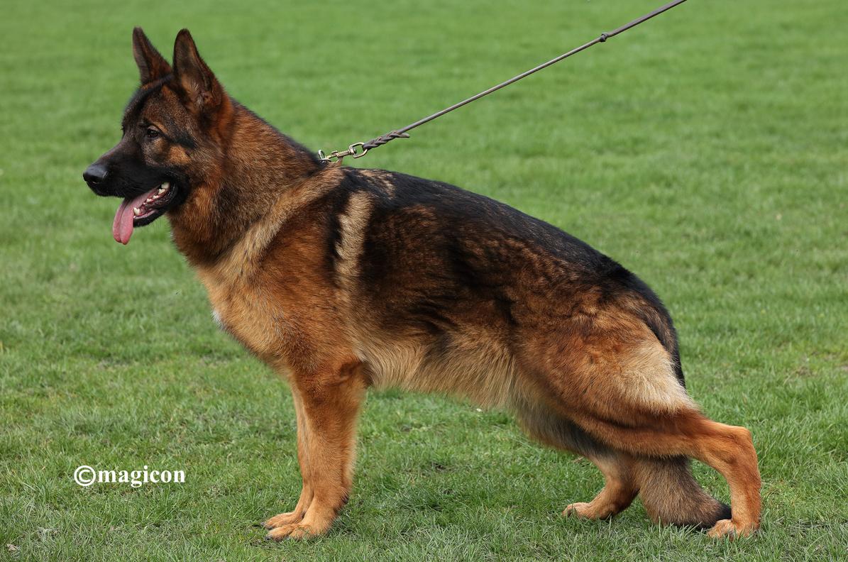 
                                                    Kein SV-Bild -
                                                    Upload vom 14.03.2024
                                                
