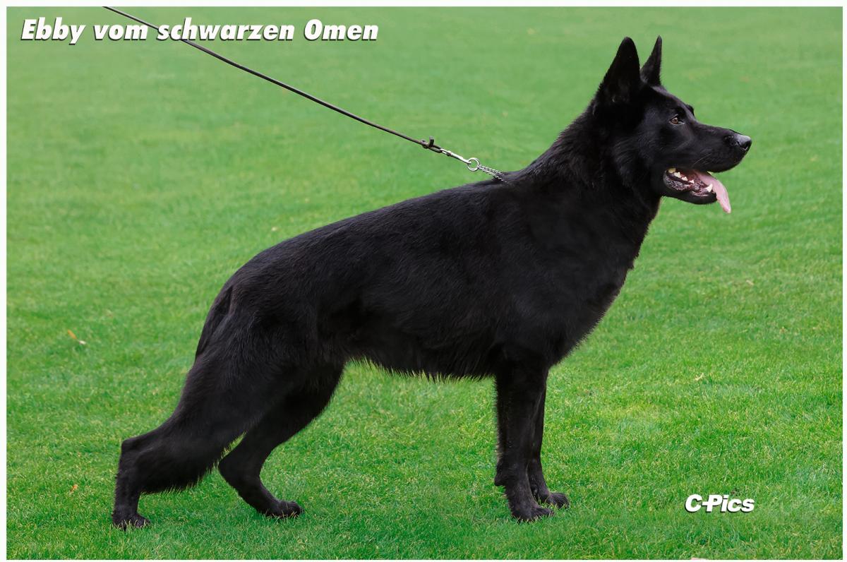 
                                                    Kein SV-Bild -
                                                    Upload vom 04.01.2023
                                                