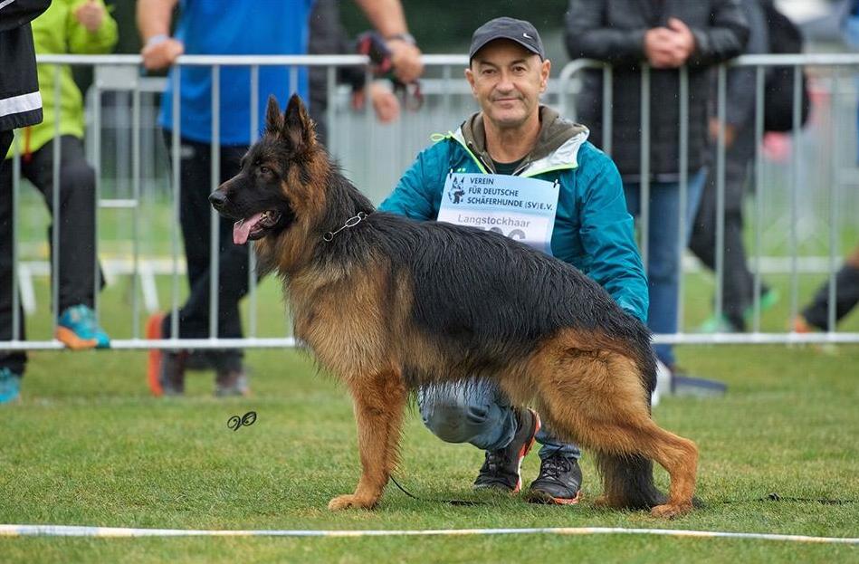 
                                                    Kein SV-Bild -
                                                    Upload vom 14.09.2019
                                                