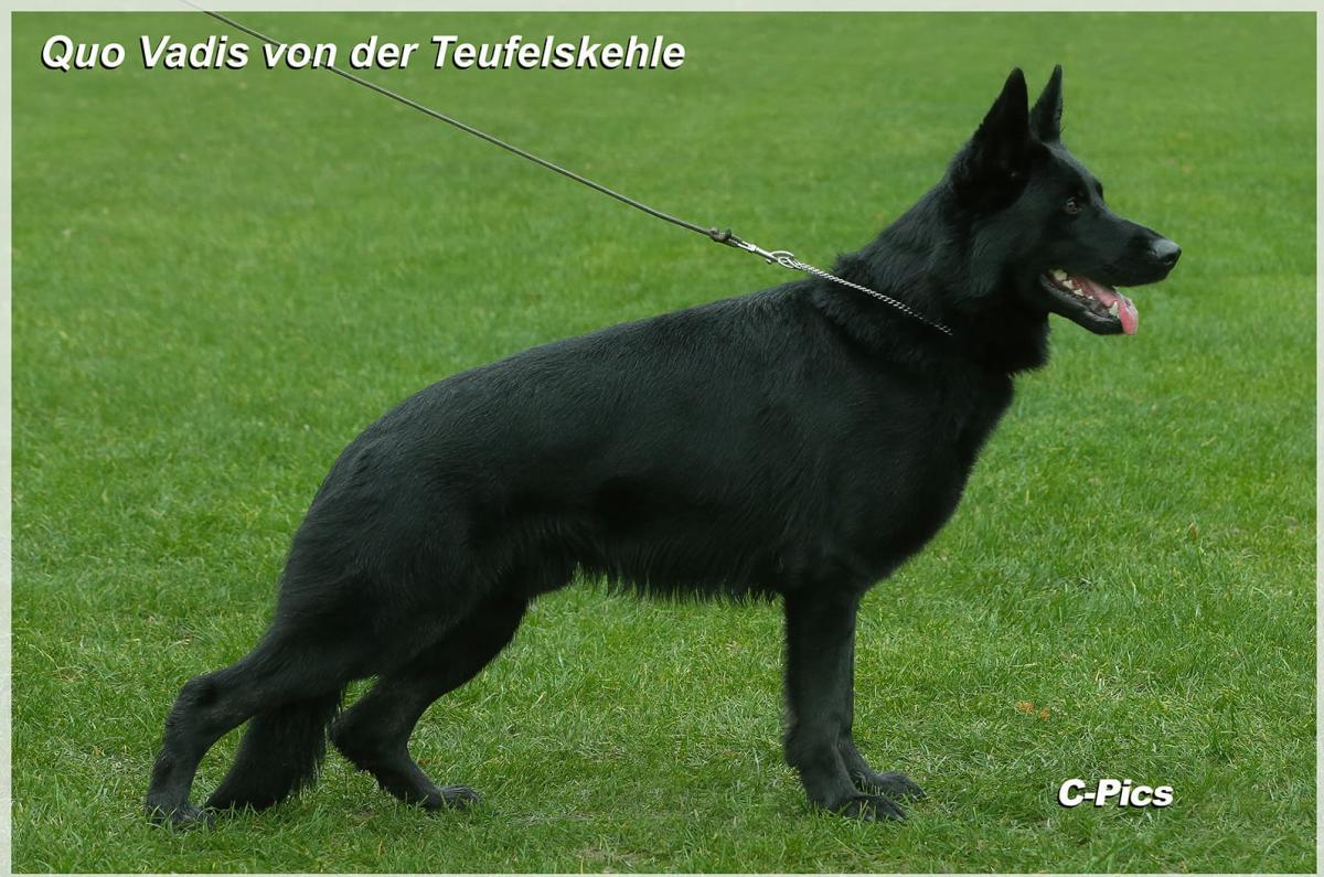 
                                                    Kein SV-Bild -
                                                    Upload vom 04.12.2018
                                                