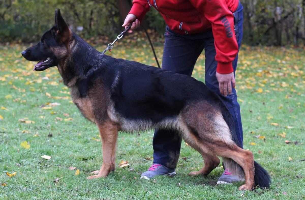 
                                                    Kein SV-Bild -
                                                    Upload vom 19.11.2023
                                                