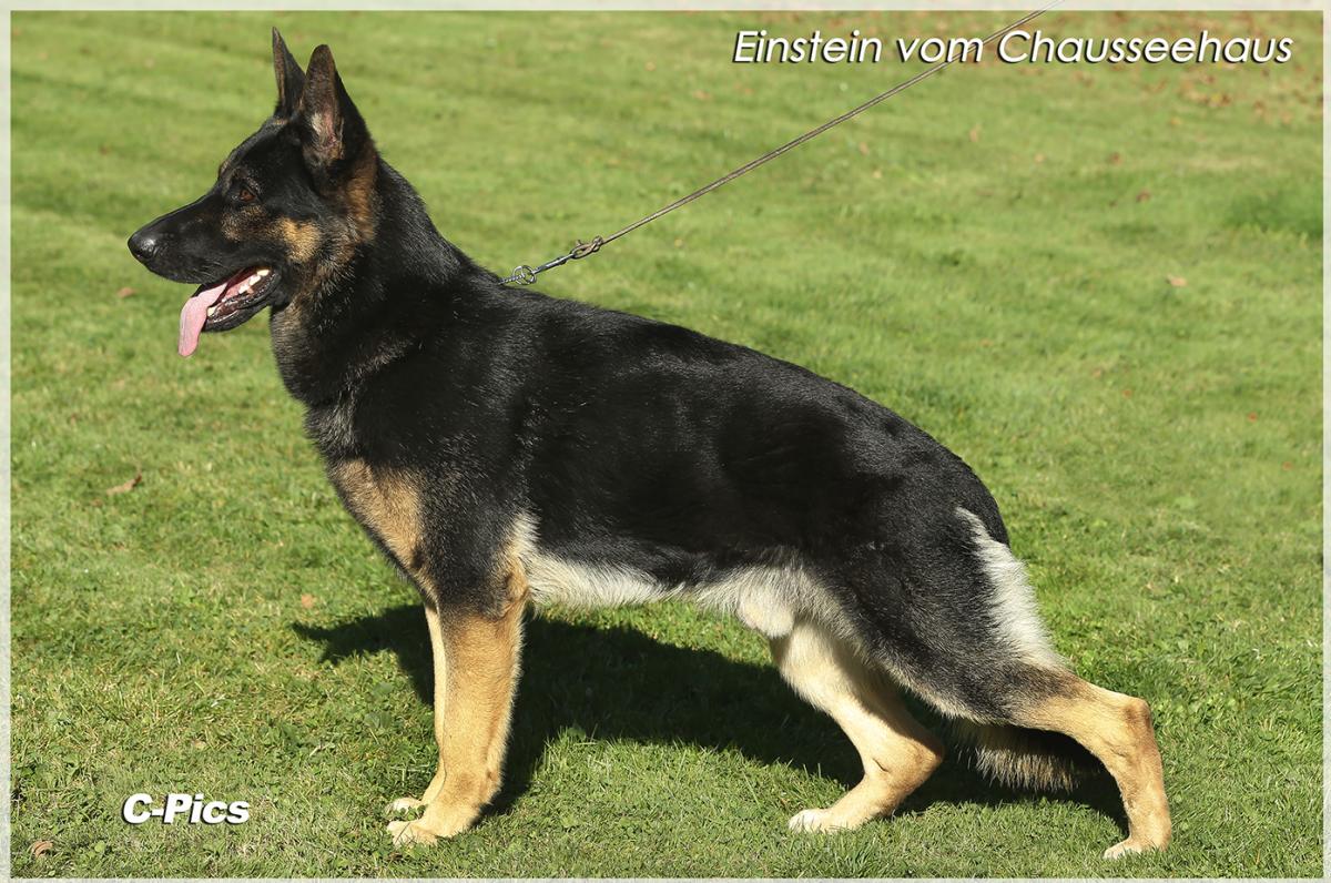 
                                                    Kein SV-Bild -
                                                    Upload vom 07.11.2016
                                                