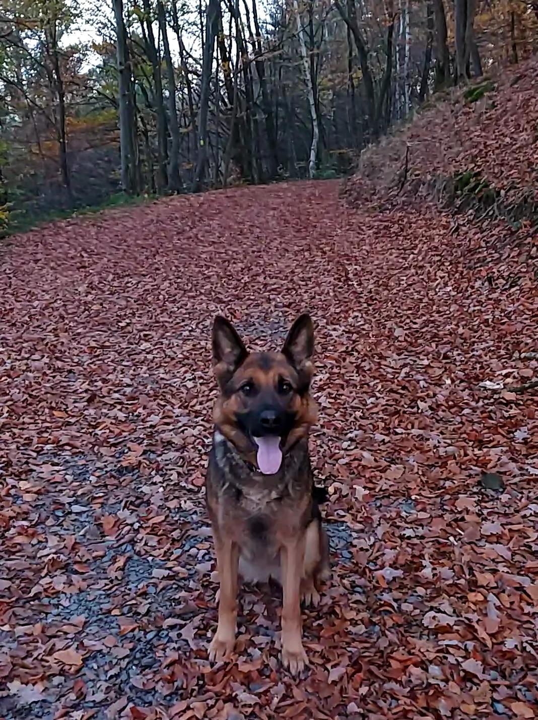 
                                                    Kein SV-Bild -
                                                    Upload vom 07.11.2020
                                                
