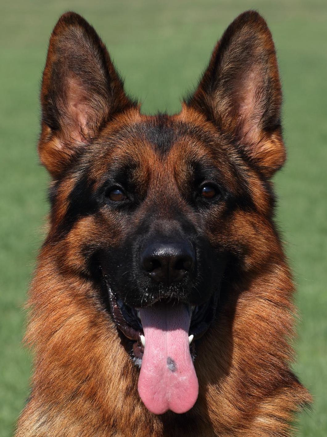 
                                                    Kein SV-Bild -
                                                    Upload vom 04.12.2024
                                                