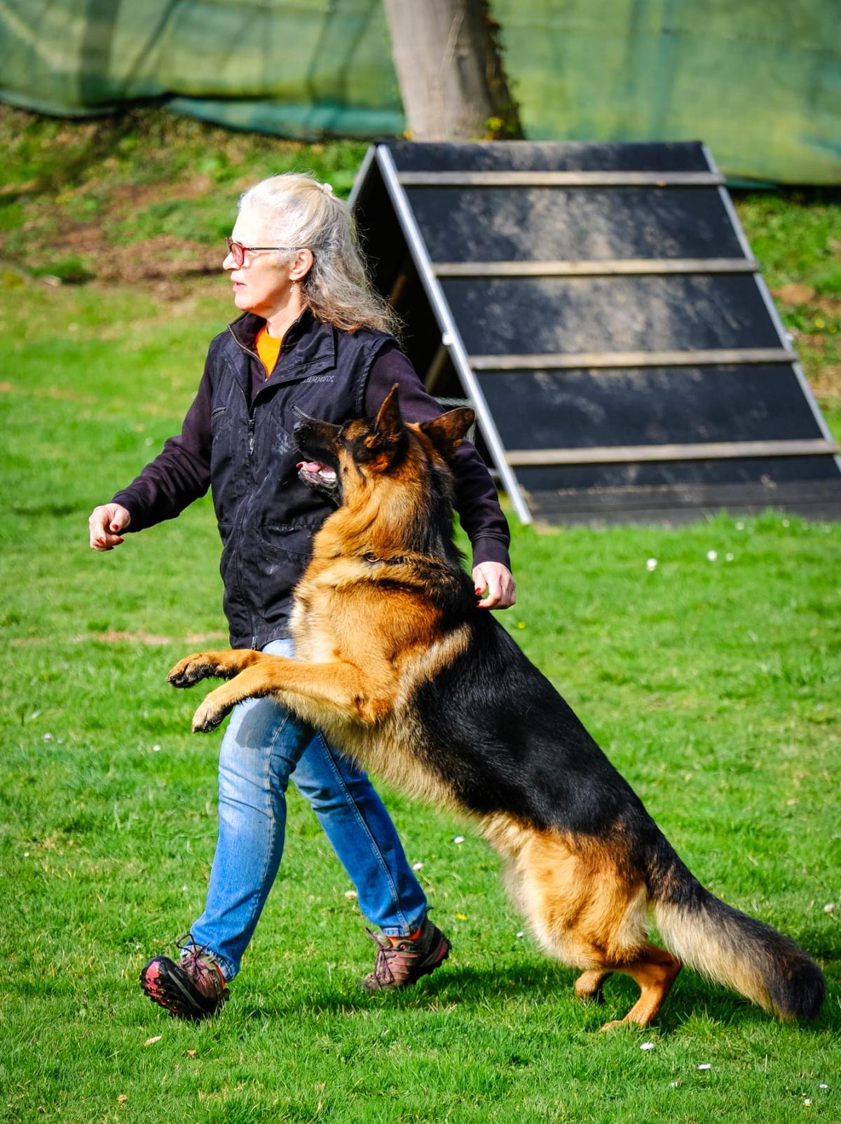 
                                                    Kein SV-Bild -
                                                    IGP 2
                                                