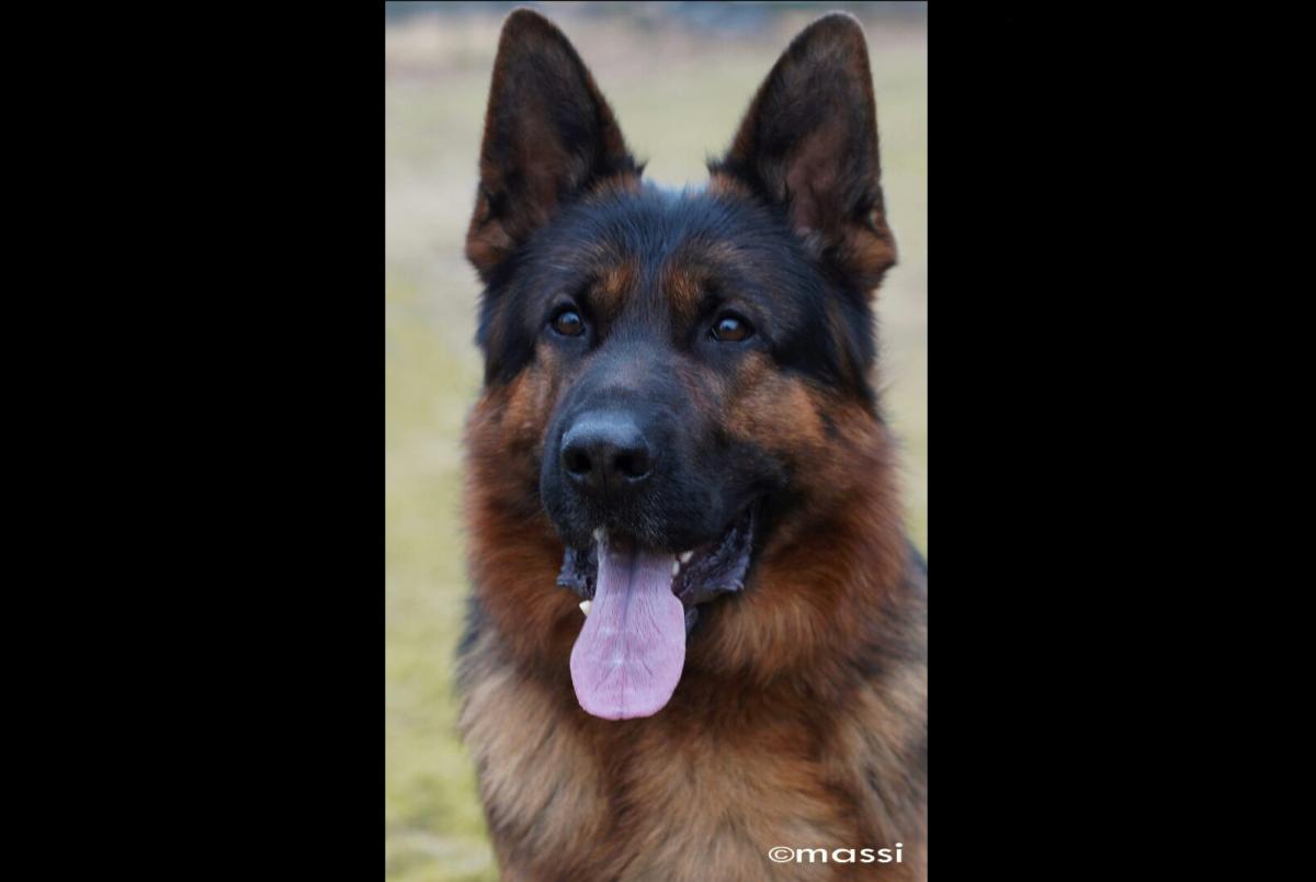 
                                                    Kein SV-Bild -
                                                    Upload vom 15.03.2018
                                                