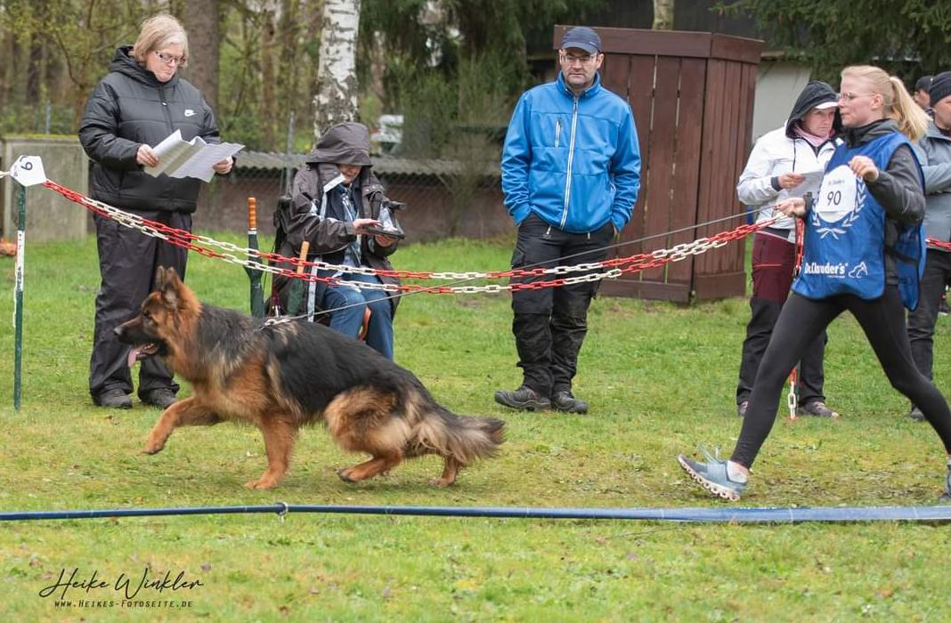 
                                                    Kein SV-Bild -
                                                    Upload vom 02.04.2024
                                                