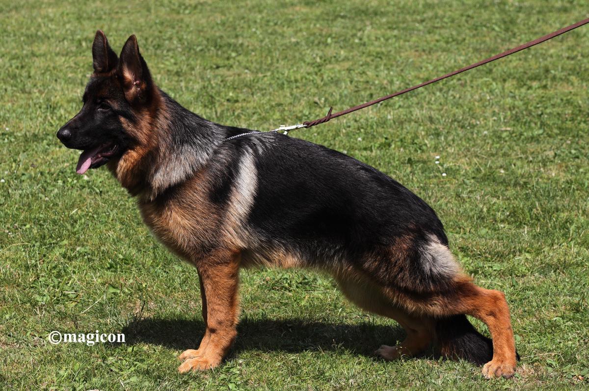 
                                                    Kein SV-Bild -
                                                    04.07.2015
                                                