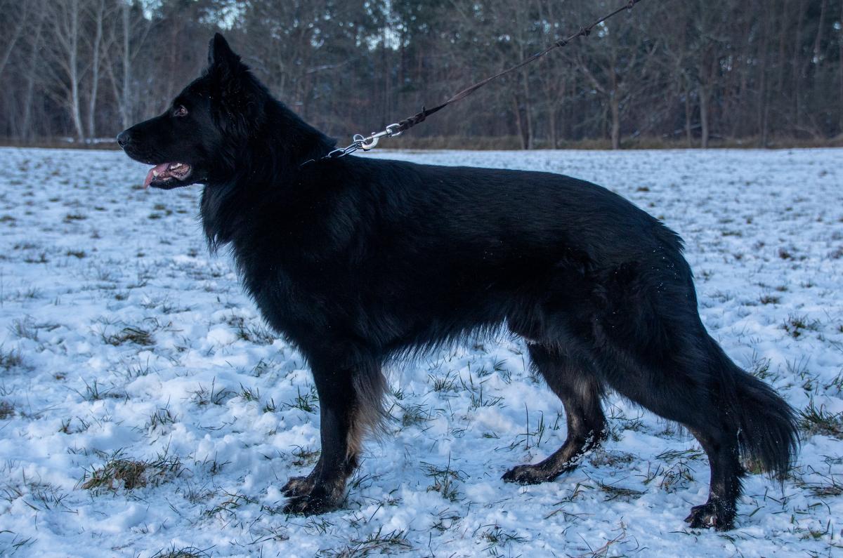 
                                                    Kein SV-Bild -
                                                    Upload vom 17.02.2021
                                                