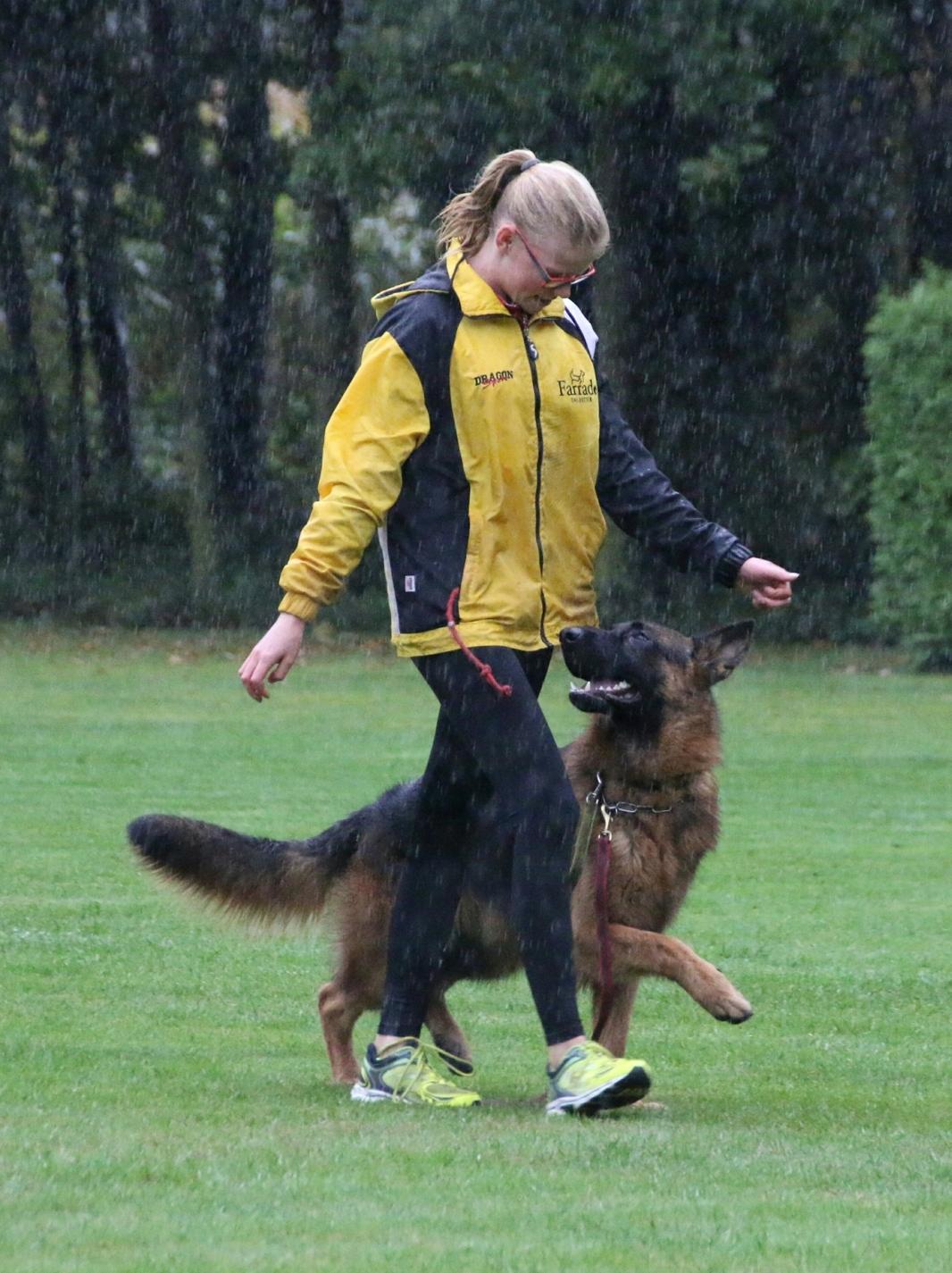 
                                                    Kein SV-Bild -
                                                    Training 
                                                