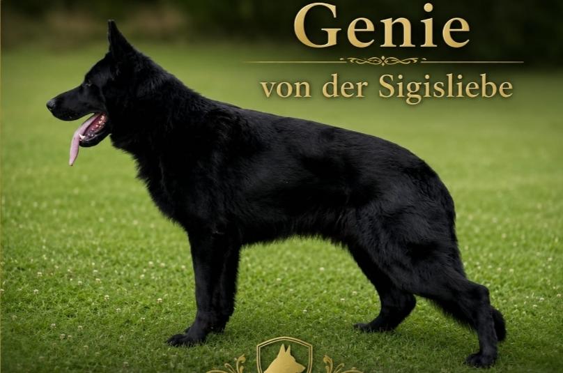 
                                                    Kein SV-Bild -
                                                    Upload vom 06.05.2026
                                                