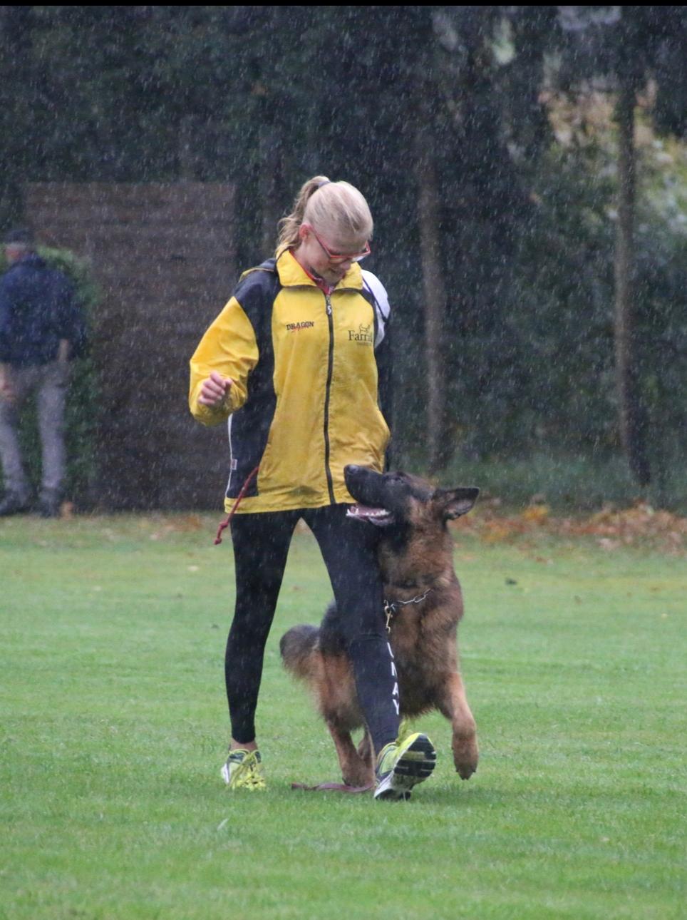 
                                                    Kein SV-Bild -
                                                    Training 
                                                