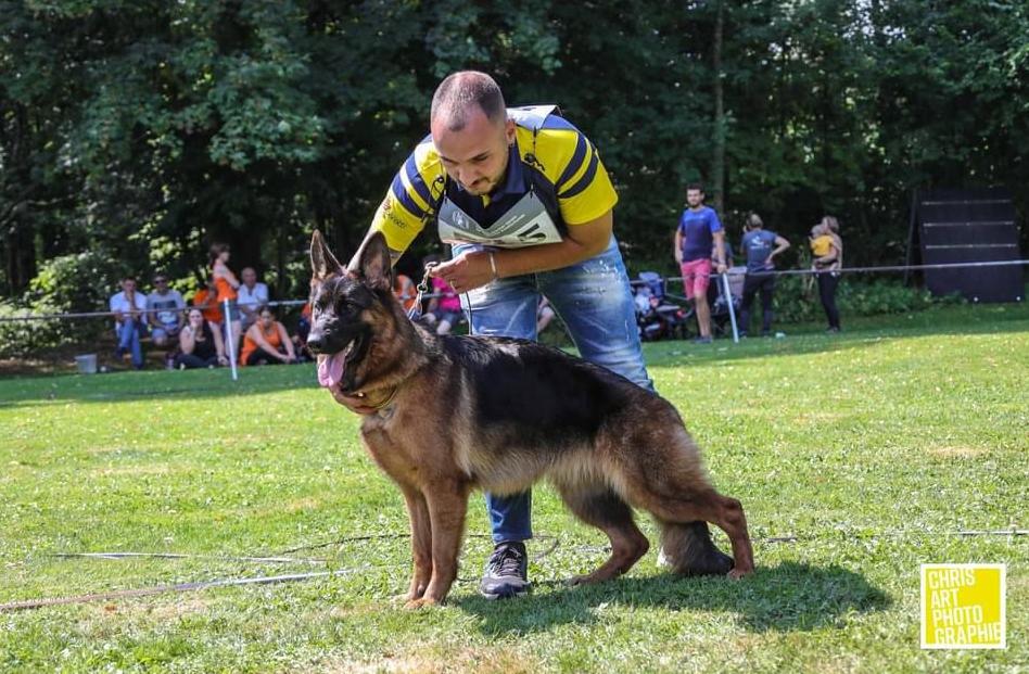 
                                                    Kein SV-Bild -
                                                    Upload vom 15.10.2024
                                                