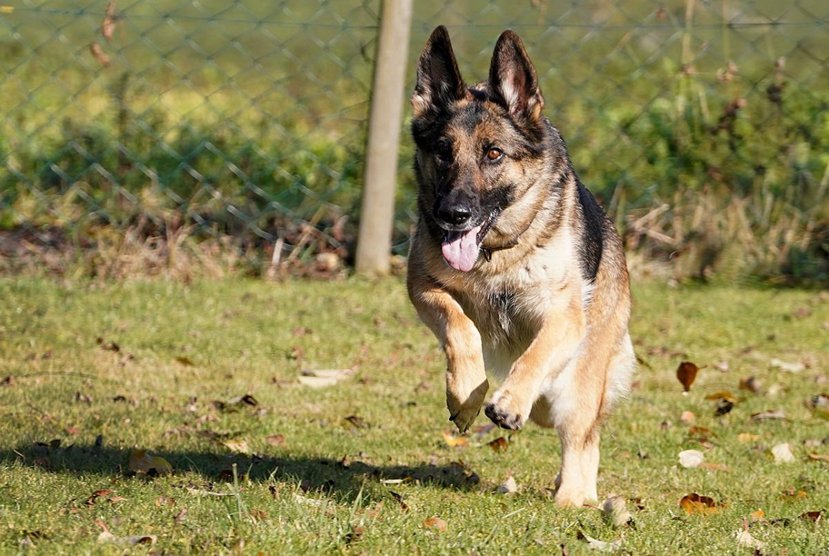 
                                                    Kein SV-Bild -
                                                    Upload vom 28.12.2022
                                                