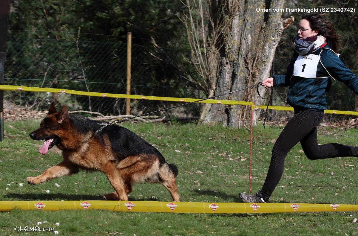 
                                                    Kein SV-Bild -
                                                    Upload vom 18.03.2020
                                                