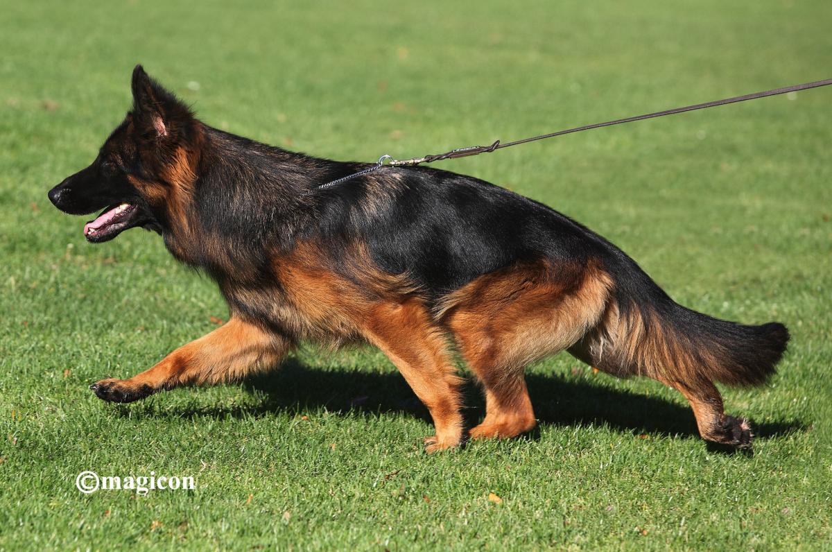 
                                                    Kein SV-Bild -
                                                    Upload vom 23.10.2023
                                                