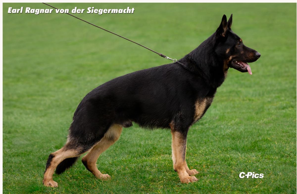 
                                                    Kein SV-Bild -
                                                    Upload vom 01.05.2023
                                                