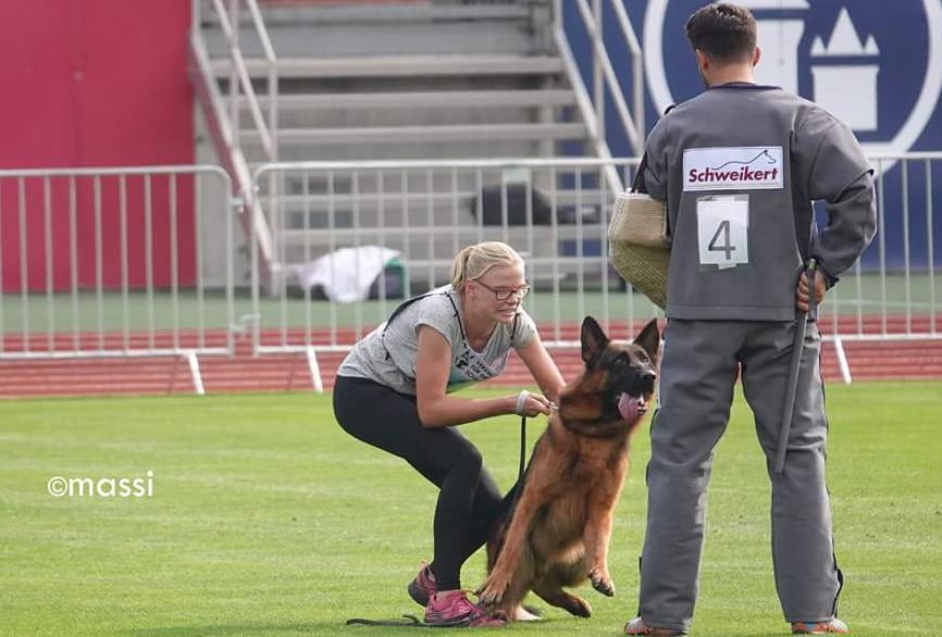 
                                                    Kein SV-Bild -
                                                    BSZS 2018 TSB
                                                