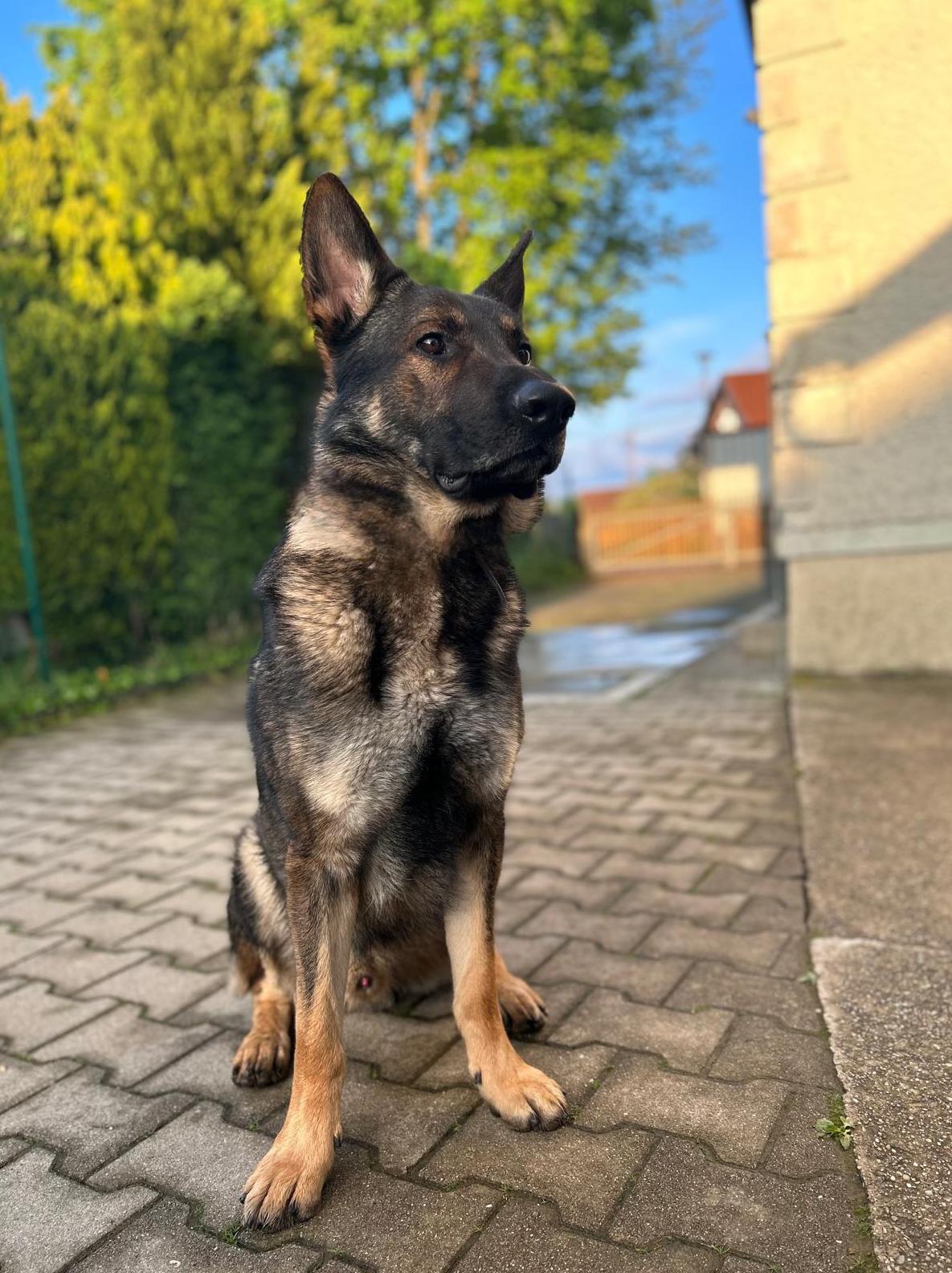 
                                                    Kein SV-Bild -
                                                    Upload vom 18.05.2026
                                                