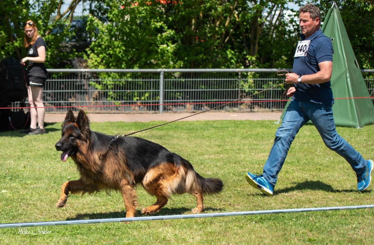 
                                                    Kein SV-Bild -
                                                    Upload vom 08.07.2022
                                                
