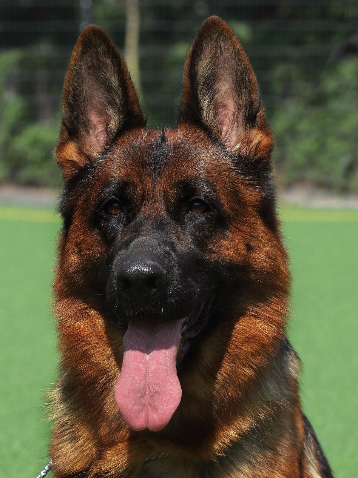 
                                                    Kein SV-Bild -
                                                    Upload vom 16.09.2019
                                                