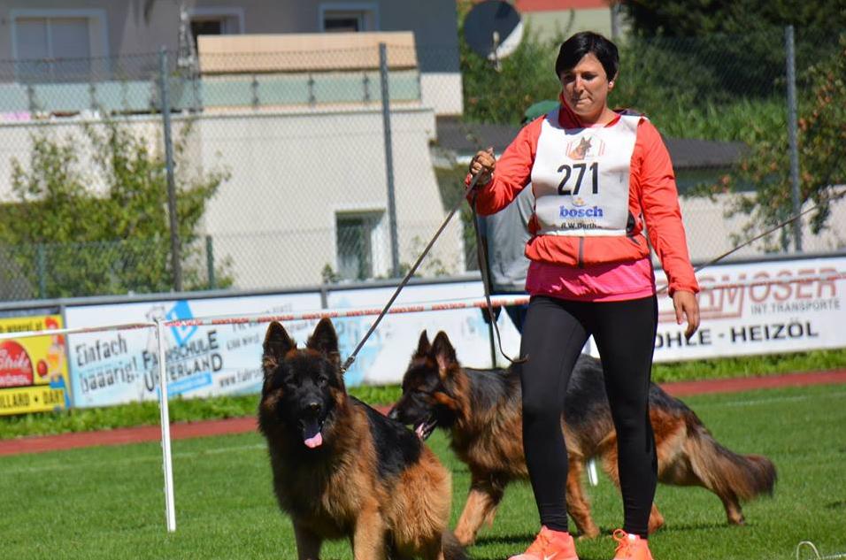 
                                                    Kein SV-Bild -
                                                    BSZS Wörgl 2016  SG2
                                                