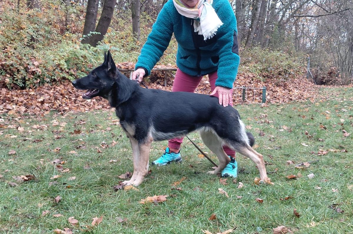 
                                                    Kein SV-Bild -
                                                    Upload vom 08.11.2025
                                                