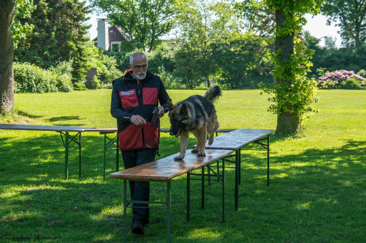 
                                                    Kein SV-Bild -
                                                    Wesenstest 2017
                                                