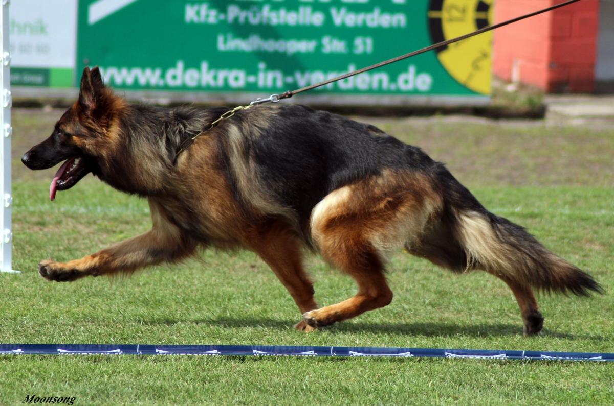 
                                                    Kein SV-Bild -
                                                    Upload vom 18.09.2019
                                                