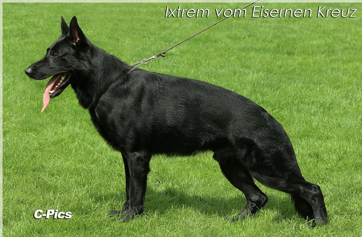 
                                                    Kein SV-Bild -
                                                    Upload vom 25.07.2018
                                                
